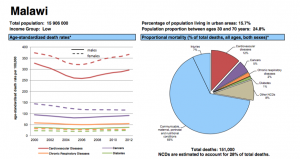 WHO data on causes of death in Malawi (8). 